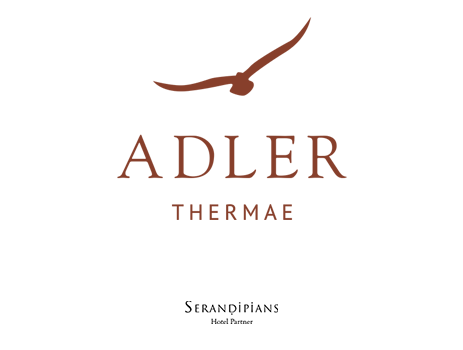 Logos partenaires