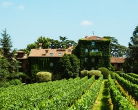 L'Albereta