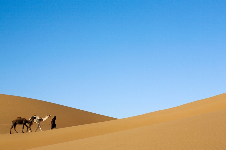 ASIBI - Boutique DMC