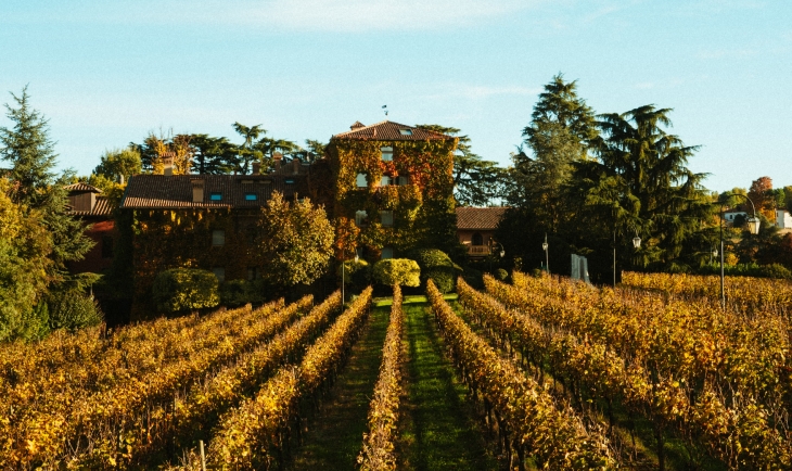 Harvest &amp; Dolce Vita