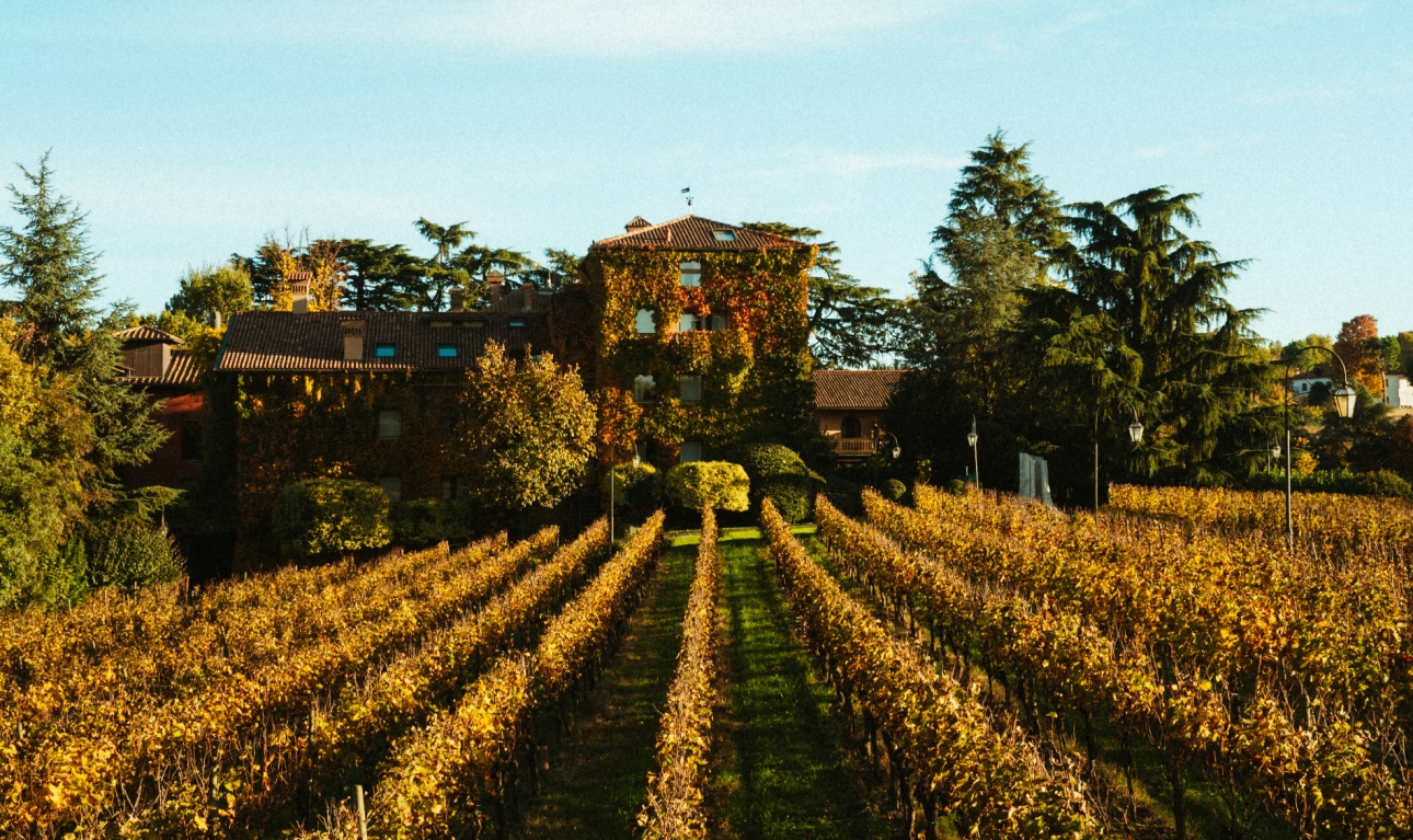 Harvest &amp; Dolce Vita